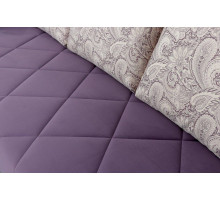 Диван-кровать Флеш-1 (вариант 2)